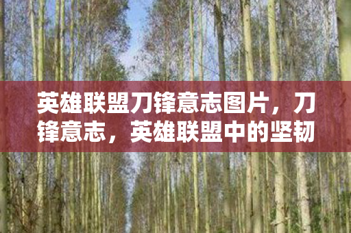 英雄联盟刀锋意志图片,刀锋意志,英雄联盟中的坚韧与荣耀 英雄联盟刀锋意志图片,刀锋意志,英雄联盟中的坚韧与荣耀