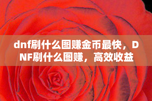 dnf刷什么图赚金币最快,DNF刷什么图赚,高效收益攻略 dnf刷什么图赚金币最快,DNF刷什么图赚,高效收益攻略