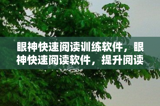 眼神快速阅读训练软件，眼神快速阅读软件，提升阅读效率的新利器
