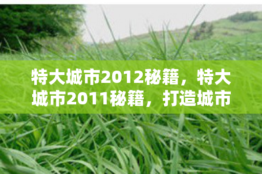 特大城市2012秘籍,特大城市2011秘籍,打造城市帝国的策略与技巧 特大城市2012秘籍,特大城市2011秘籍,打造城市帝国的策略与技巧