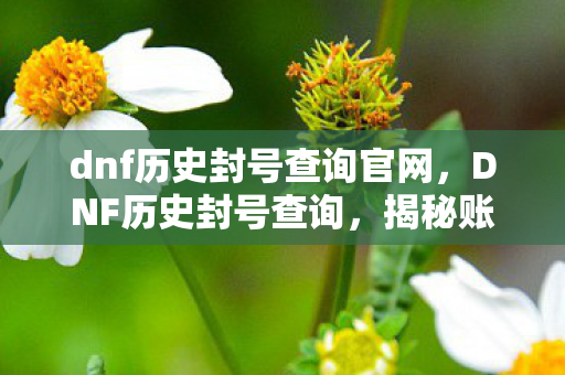 dnf历史封号查询官网,DNF历史封号查询,揭秘账号封禁背后的故事 dnf历史封号查询官网,DNF历史封号查询,揭秘账号封禁背后的故事