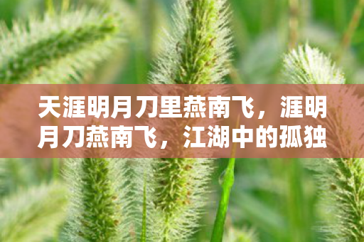 天涯明月刀里燕南飞,涯明月刀燕南飞,江湖中的孤独剑客 天涯明月刀里燕南飞,涯明月刀燕南飞,江湖中的孤独剑客