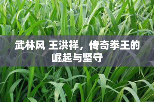 武林风 王洪祥,传奇拳王的崛起与坚守 武林风 王洪祥,传奇拳王的崛起与坚守