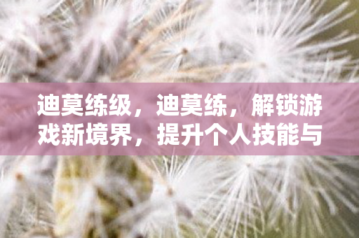迪莫练级,迪莫练,解锁游戏新境界,提升个人技能与体验 迪莫练级,迪莫练,解锁游戏新境界,提升个人技能与体验