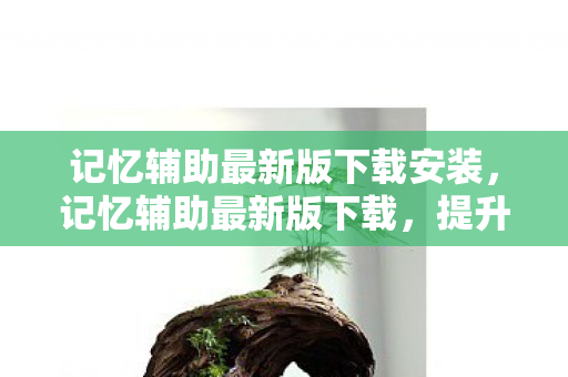 记忆辅助最新版下载安装，记忆辅助最新版下载，提升效率，优化游戏体验