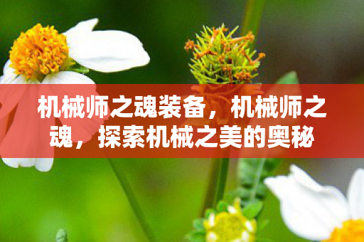机械师之魂装备,机械师之魂,探索机械之美的奥秘 机械师之魂装备,机械师之魂,探索机械之美的奥秘