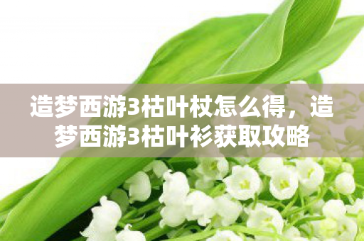 造梦西游3枯叶杖怎么得,造梦西游3枯叶衫获取攻略 造梦西游3枯叶杖怎么得,造梦西游3枯叶衫获取攻略