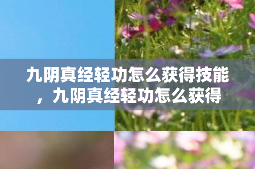 九阴真经轻功怎么获得技能,九阴真经轻功怎么获得 九阴真经轻功怎么获得技能,九阴真经轻功怎么获得