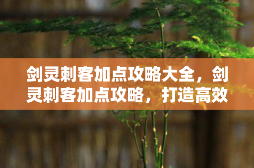 剑灵刺客加点攻略大全，剑灵刺客加点攻略，打造高效战斗力的关键