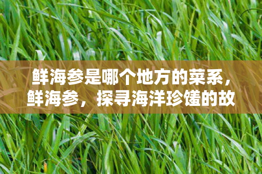 鲜海参是哪个地方的菜系,鲜海参,探寻海洋珍馐的故乡 鲜海参是哪个地方的菜系,鲜海参,探寻海洋珍馐的故乡