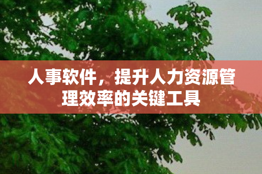 人事软件,提升人力资源管理效率的关键工具 人事软件,提升人力资源管理效率的关键工具