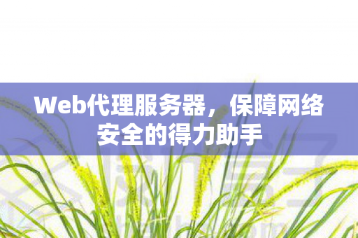 Web代理服务器，保障网络安全的得力助手