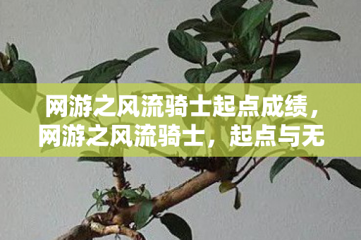 网游之风流骑士起点成绩,网游之风流骑士,起点与无限可能的探索 网游之风流骑士起点成绩,网游之风流骑士,起点与无限可能的探索