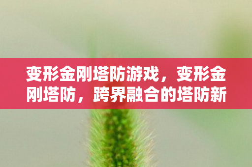 变形金刚塔防游戏，变形金刚塔防，跨界融合的塔防新体验