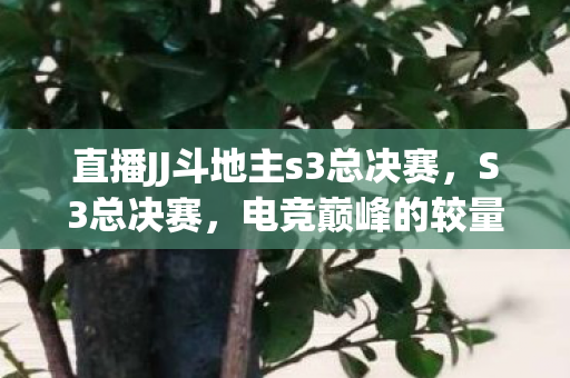 直播JJ斗地主s3总决赛,S3总决赛,电竞巅峰的较量与探索 直播JJ斗地主s3总决赛,S3总决赛,电竞巅峰的较量与探索