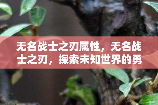 无名战士之刃属性,无名战士之刃,探索未知世界的勇气与荣耀 无名战士之刃属性,无名战士之刃,探索未知世界的勇气与荣耀