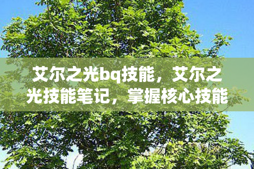 艾尔之光bq技能,艾尔之光技能笔记,掌握核心技能,提升战斗效率 艾尔之光bq技能,艾尔之光技能笔记,掌握核心技能,提升战斗效率