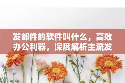 发邮件的软件叫什么,高效办公利器,深度解析主流发邮件软件 发邮件的软件叫什么,高效办公利器,深度解析主流发邮件软件