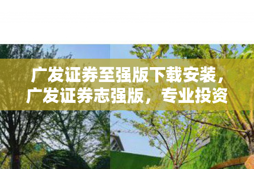 广发证券至强版下载安装，广发证券志强版，专业投资者的优选平台