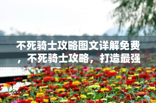 不死骑士攻略图文详解免费,不死骑士攻略,打造最强骑士的终极指南 不死骑士攻略图文详解免费,不死骑士攻略,打造最强骑士的终极指南