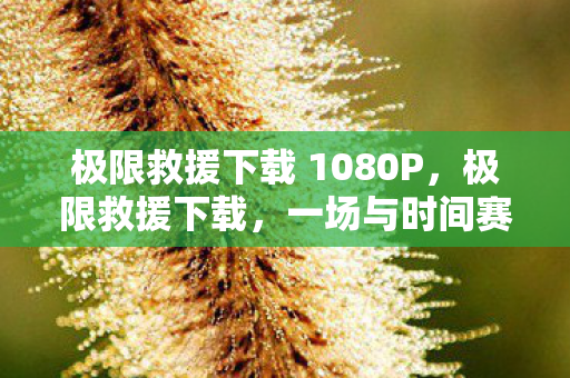 极限救援下载 1080P,极限救援下载,一场与时间赛跑的数字生存挑战 极限救援下载 1080P,极限救援下载,一场与时间赛跑的数字生存挑战