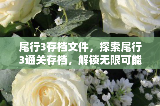 尾行3存档文件,探索尾行3通关存档,解锁无限可能的冒险之旅 尾行3存档文件,探索尾行3通关存档,解锁无限可能的冒险之旅