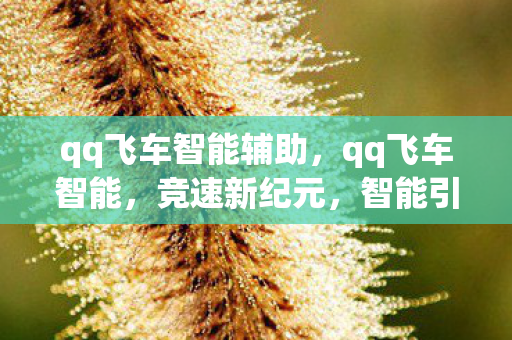 qq飞车智能辅助，qq飞车智能，竞速新纪元，智能引领未来