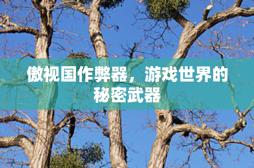 傲视国作弊器,游戏世界的秘密武器 傲视国作弊器,游戏世界的秘密武器