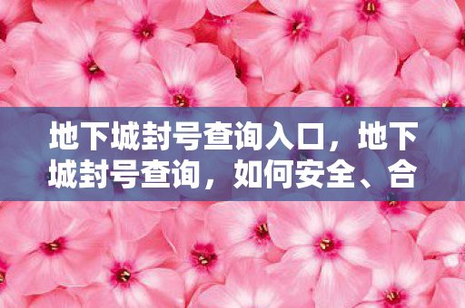 地下城封号查询入口,地下城封号查询,如何安全、合法地查询账号状态 地下城封号查询入口,地下城封号查询,如何安全、合法地查询账号状态