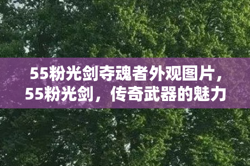 55粉光剑夺魂者外观图片,55粉光剑,传奇武器的魅力与背后的故事 55粉光剑夺魂者外观图片,55粉光剑,传奇武器的魅力与背后的故事