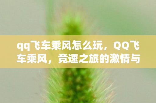 qq飞车乘风怎么玩，QQ飞车乘风，竞速之旅的激情与梦想