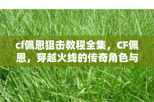 cf佩恩狙击教程全集，CF佩恩，穿越火线的传奇角色与游戏文化