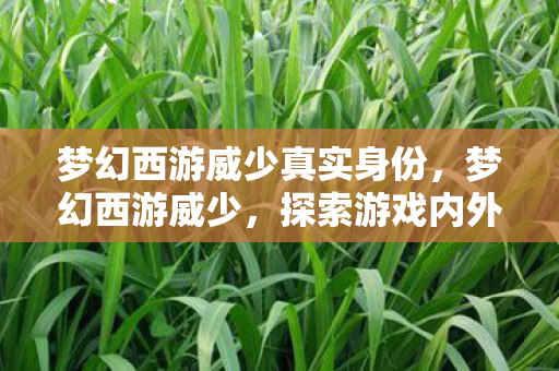 梦幻西游威少真实身份,梦幻西游威少,探索游戏内外的独特魅力 梦幻西游威少真实身份,梦幻西游威少,探索游戏内外的独特魅力