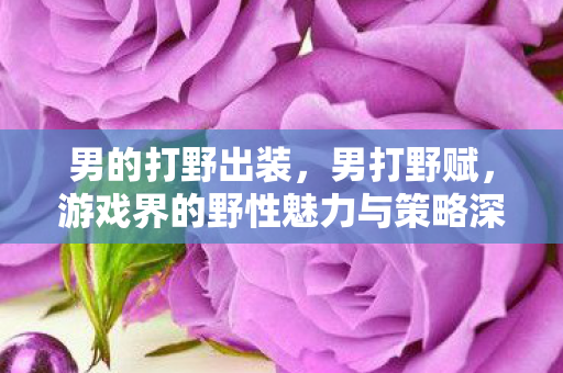 男的打野出装,男打野赋,游戏界的野性魅力与策略深度 男的打野出装,男打野赋,游戏界的野性魅力与策略深度