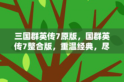 三国群英传7原版,国群英传7整合版,重温经典,尽享全新游戏体验 三国群英传7原版,国群英传7整合版,重温经典,尽享全新游戏体验