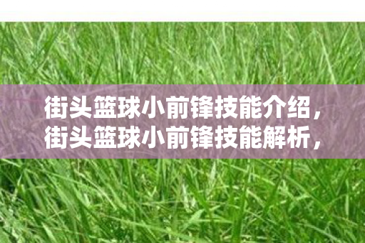 街头篮球小前锋技能介绍,街头篮球小前锋技能解析,突破、投射与团队战术 街头篮球小前锋技能介绍,街头篮球小前锋技能解析,突破、投射与团队战术