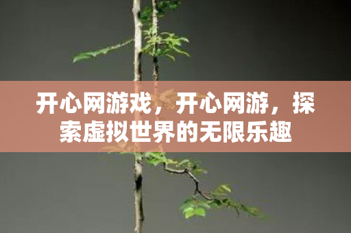 开心网游戏,开心网游,探索虚拟世界的无限乐趣 开心网游戏,开心网游,探索虚拟世界的无限乐趣