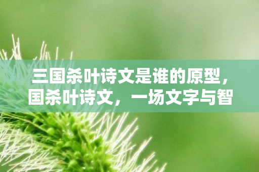 三国杀叶诗文是谁的原型,国杀叶诗文,一场文字与智慧的较量 三国杀叶诗文是谁的原型,国杀叶诗文,一场文字与智慧的较量