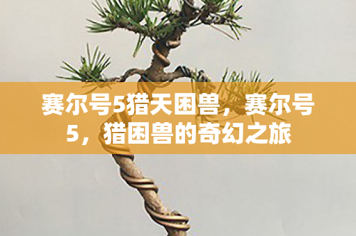 赛尔号5猎天困兽,赛尔号5,猎困兽的奇幻之旅 赛尔号5猎天困兽,赛尔号5,猎困兽的奇幻之旅