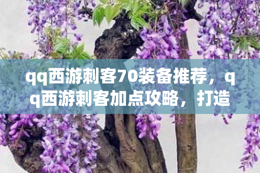 qq西游刺客70装备推荐，qq西游刺客加点攻略，打造高效战斗力的关键