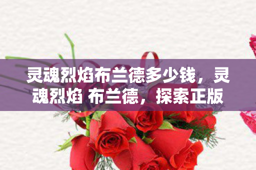 灵魂烈焰布兰德多少钱，灵魂烈焰 布兰德，探索正版游戏的魅力与深度