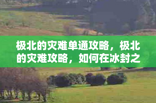 极北的灾难单通攻略，极北的灾难攻略，如何在冰封之地求生