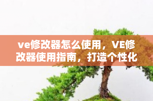 ve修改器怎么使用，VE修改器使用指南，打造个性化游戏体验