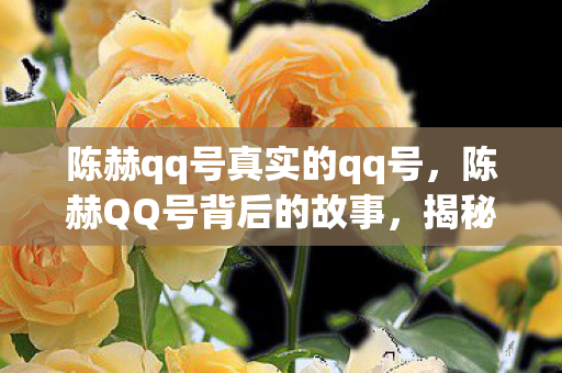 陈赫qq号真实的qq号，陈赫QQ号背后的故事，揭秘明星的私人社交