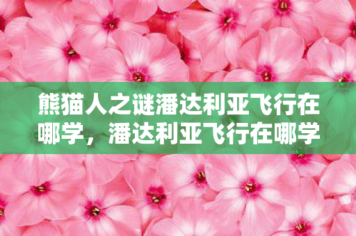 熊猫人之谜潘达利亚飞行在哪学,潘达利亚飞行在哪学 熊猫人之谜潘达利亚飞行在哪学,潘达利亚飞行在哪学