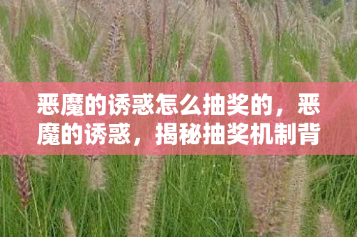 恶魔的诱惑怎么抽奖的,恶魔的诱惑,揭秘抽奖机制背后的秘密 恶魔的诱惑怎么抽奖的,恶魔的诱惑,揭秘抽奖机制背后的秘密