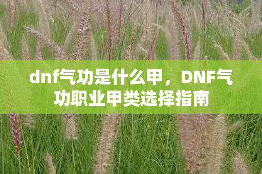 dnf气功是什么甲，DNF气功职业甲类选择指南