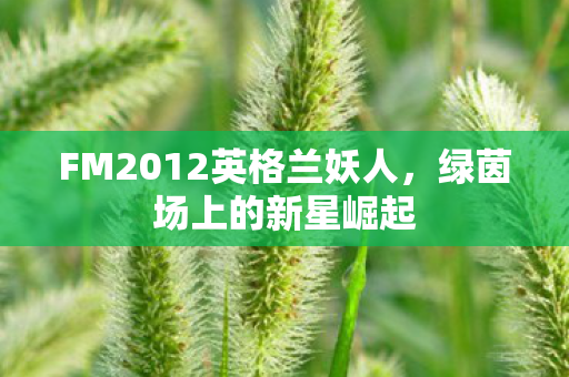 FM2012英格兰妖人,绿茵场上的新星崛起 FM2012英格兰妖人,绿茵场上的新星崛起