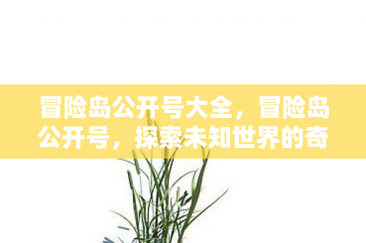 冒险岛公开号大全,冒险岛公开号,探索未知世界的奇妙旅程 冒险岛公开号大全,冒险岛公开号,探索未知世界的奇妙旅程