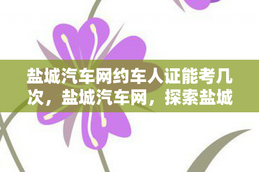 盐城汽车网约车人证能考几次，盐城汽车网，探索盐城汽车市场的独特魅力